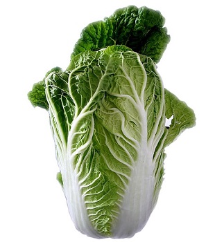Chinakohl