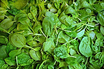 Spinat Agena