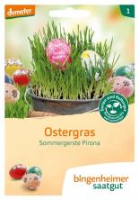Ostergras-Samen