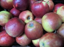 &Auml;pfel "Marnica"