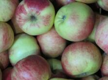 &Auml;pfel, Santana,