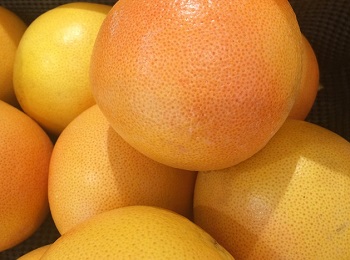Grapefruit