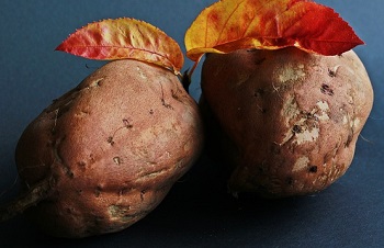 S&uuml;&szlig;kartoffel, Batate