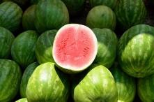 Wassermelone Mini