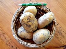 Ofenkartoffel Anuschka - Agena