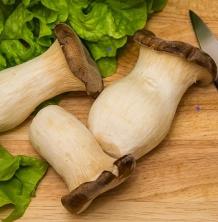 Kr&auml;uterseitling